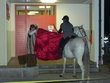 Verkehrsabsicherung beim Martinsumzug, 09.11.2011
