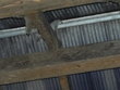 Tierrettung, 19.12.2011