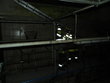 Tierrettung, 19.12.2011