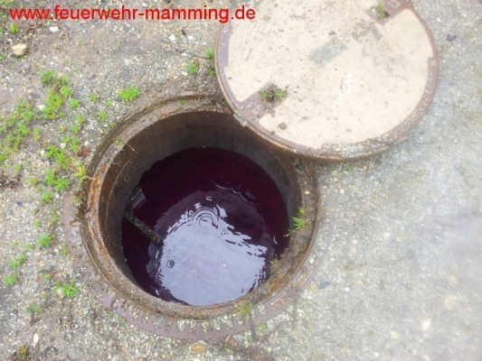 Foto zum Einsatz ausgelaufenes Heizöl