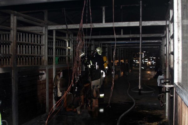 Foto zum Einsatz Erneuter Brand einer Pferdestallung