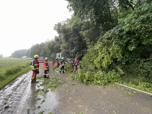 Foto zum Einsatz Baum auf Straße