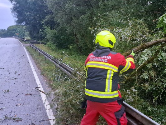 Foto zum Einsatz Bäume auf Straße nach Unwetter
