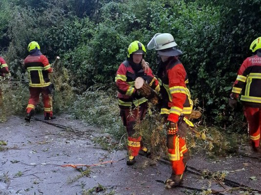 Foto zum Einsatz Bäume auf Straße nach Unwetter
