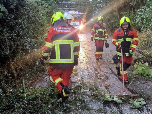 Foto zum Einsatz Bäume auf Straße nach Unwetter