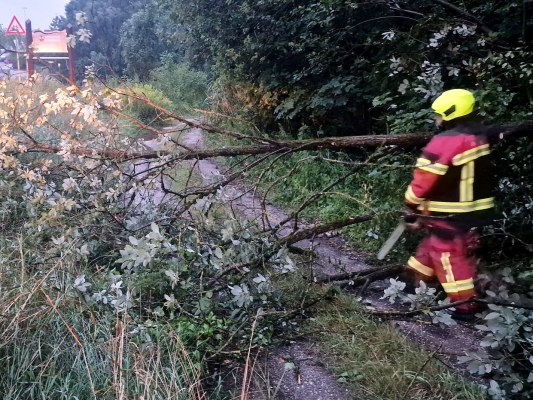 Foto zum Einsatz Bäume auf Straße nach Unwetter
