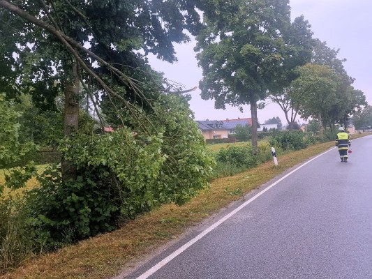 Foto zum Einsatz Bäume auf Straße nach Unwetter