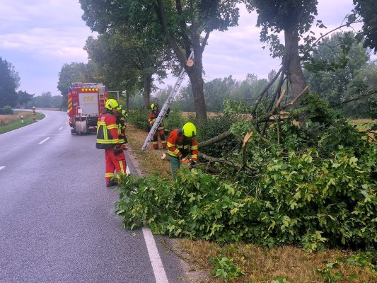 Foto zum Einsatz Bäume auf Straße nach Unwetter