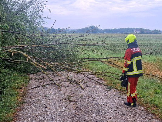 Foto zum Einsatz Bäume auf Straße nach Unwetter