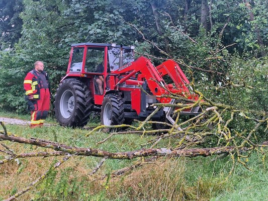 Foto zum Einsatz Bäume auf Straße nach Unwetter