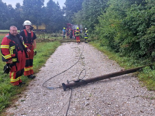 Foto zum Einsatz Bäume auf Straße nach Unwetter
