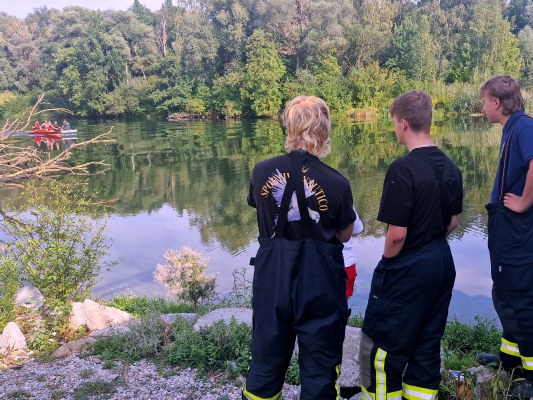Foto zum Einsatz Unterstützung Schwanenrettung