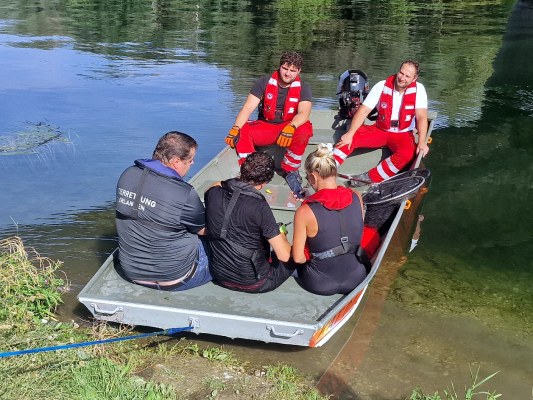 Foto zum Einsatz Unterstützung Schwanenrettung