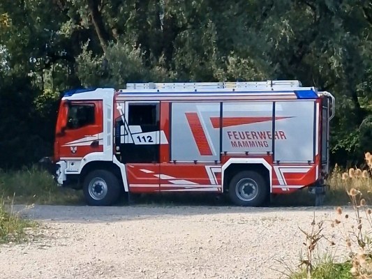 Foto zum Einsatz Unterstützung Schwanenrettung