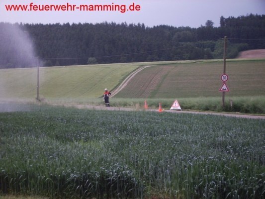 Foto zum Termin Großübung