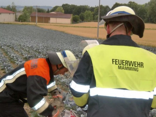 Foto zum Termin Abnahme Leistungsprüfung