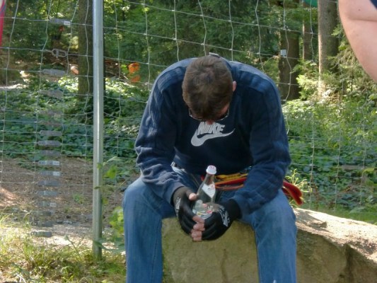 Foto zum Termin Ausflug Kletterwald