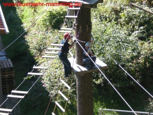 Foto zum Termin Ausflug Kletterwald