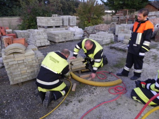Foto zum Termin Übungsdienst