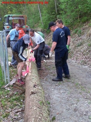 Foto zum Termin Maibaum holen