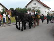 Volksfestauszug Mamming