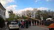 Maibaum aufstellen