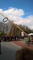 Maibaum aufstellen