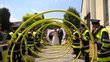 Hochzeit Parzl R.