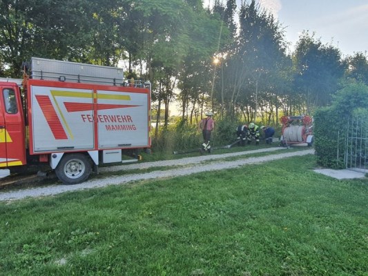 Foto zum Termin Übungsdienst