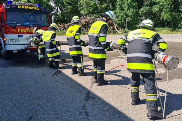 Foto zum Termin Leistungsprüfung: Gruppe im Löscheinsatz