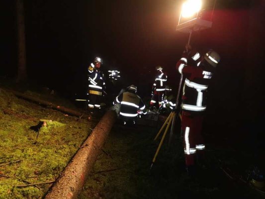 Foto zum Termin Übungsdienst