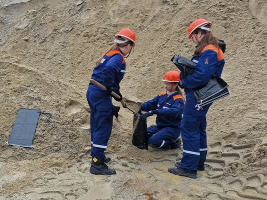 Foto zum Termin 24-Stunden Feuerwehrtag