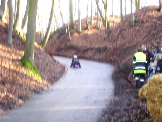 Foto zum Termin Großer Preis zu Mamming