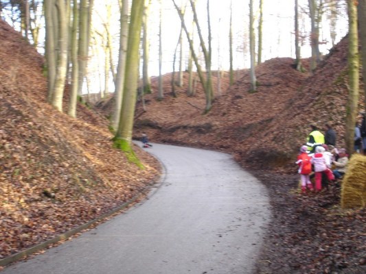 Foto zum Termin Großer Preis zu Mamming