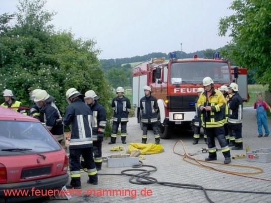 Foto zum Termin Gemeinschaftsübung THL mit FF Landau