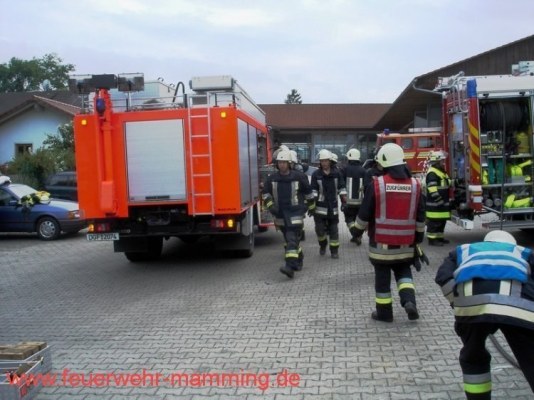 Foto zum Termin Gemeinschaftsübung THL mit FF Landau