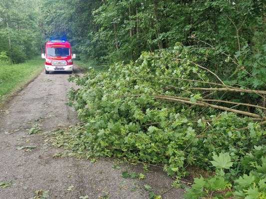 Foto zum Termin 24-Stunden-Tag