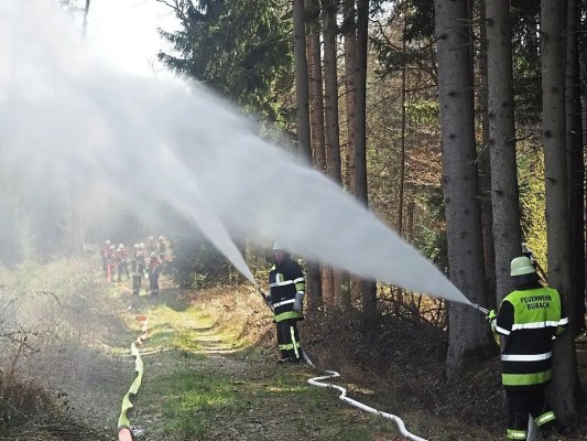Foto zum Termin Großübung im Bereich 2/4