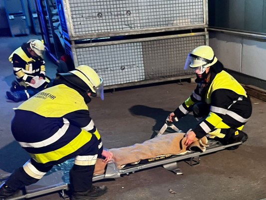 Foto zum Termin Übung / Mamming bei der Fa. Brandl