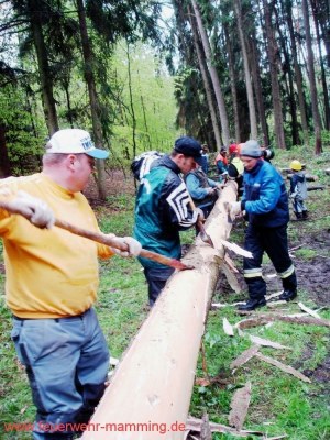 Foto zum Termin Maibaum holen