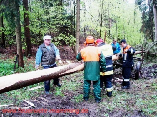 Foto zum Termin Maibaum holen