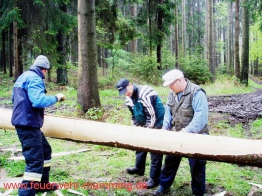 Foto zum Termin Maibaum holen