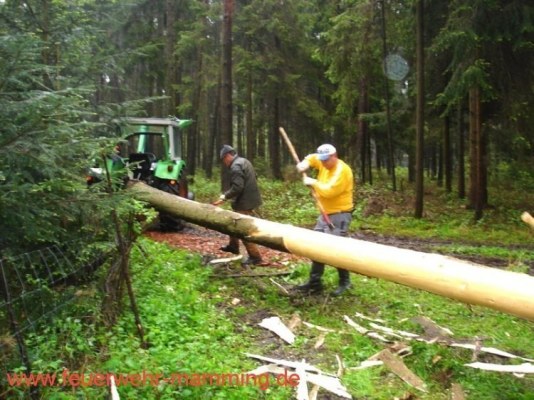 Foto zum Termin Maibaum holen