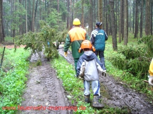 Foto zum Termin Maibaum holen
