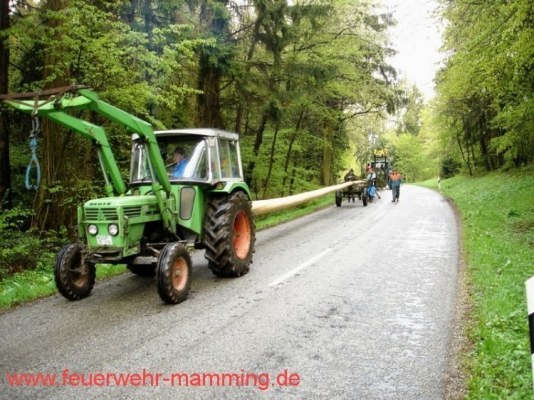 Foto zum Termin Maibaum holen