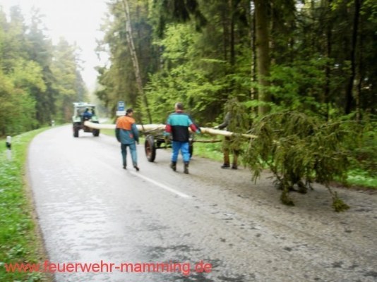 Foto zum Termin Maibaum holen