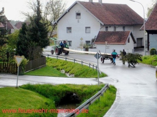 Foto zum Termin Maibaum holen
