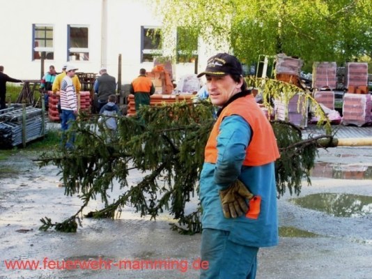 Foto zum Termin Maibaum holen