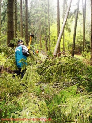 Foto zum Termin Maibaum holen