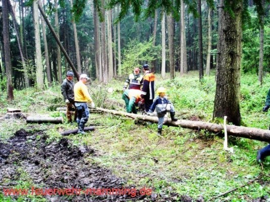 Foto zum Termin Maibaum holen